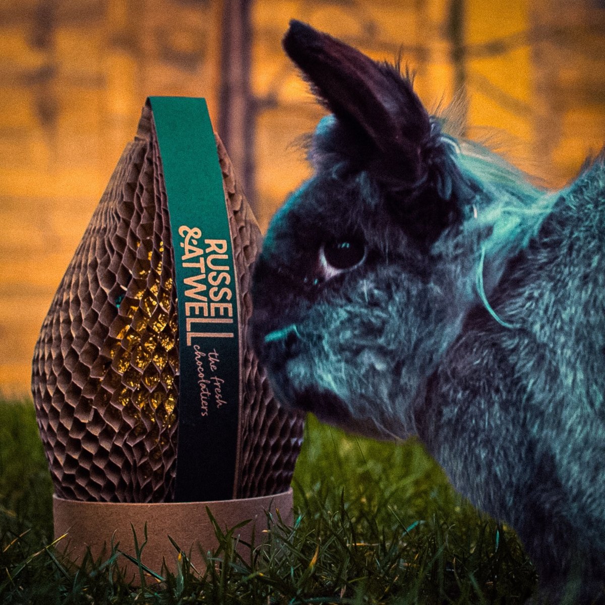Double Easter Egg and Creamy Milk - Russell and Atwell