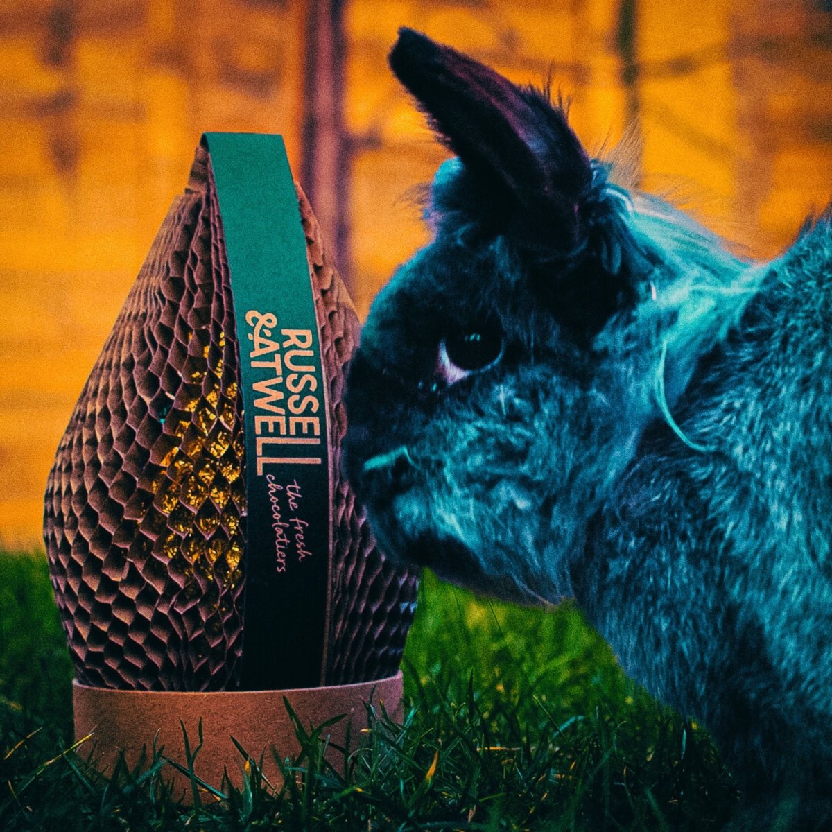 Double Easter Egg and Smooth Dark - Russell and Atwell